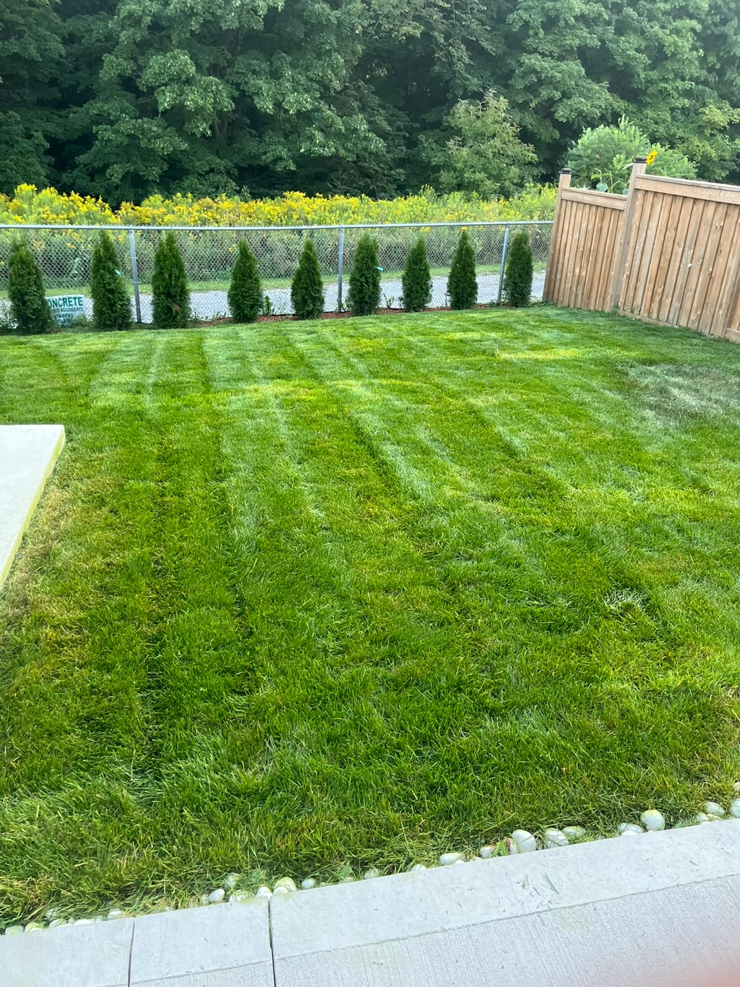grass cutting - photo 4