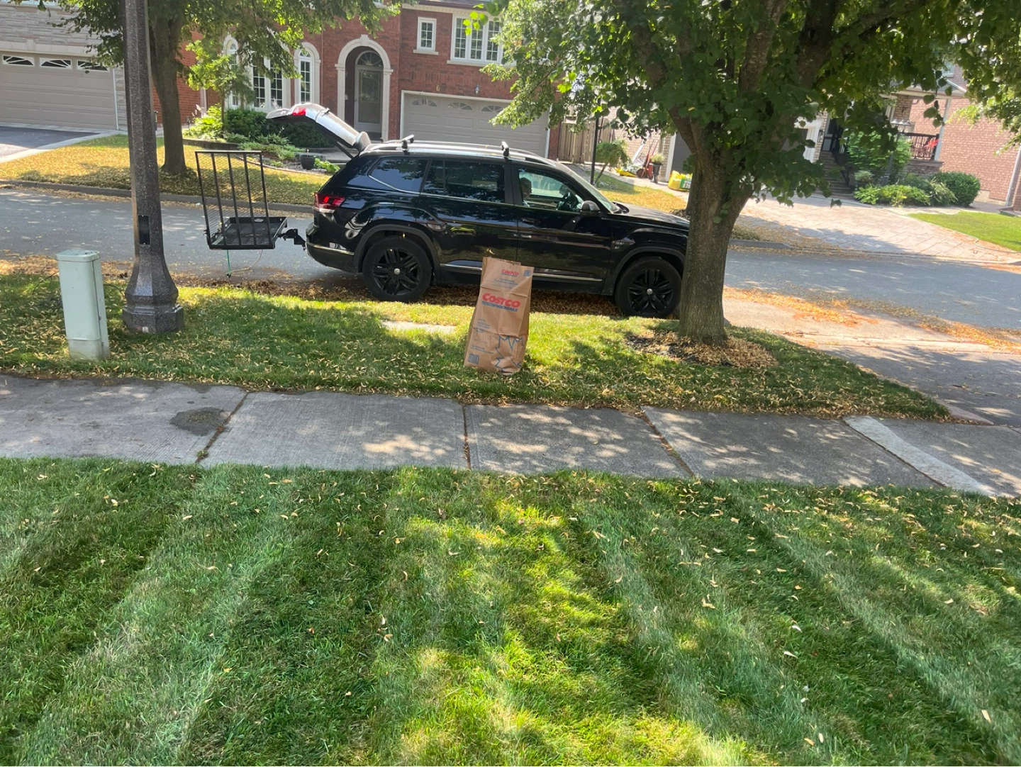 grass cutting - photo 3