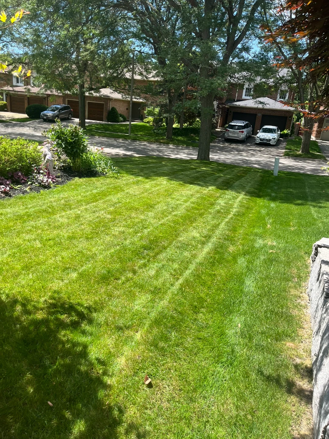 grass cutting - photo 5