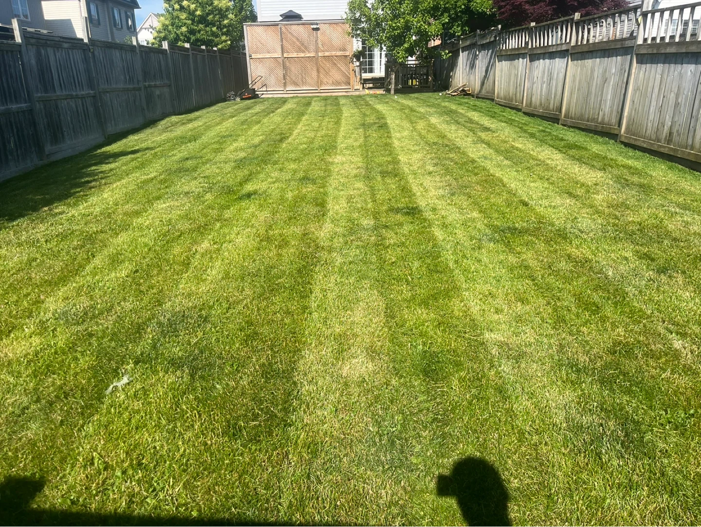 grass cutting