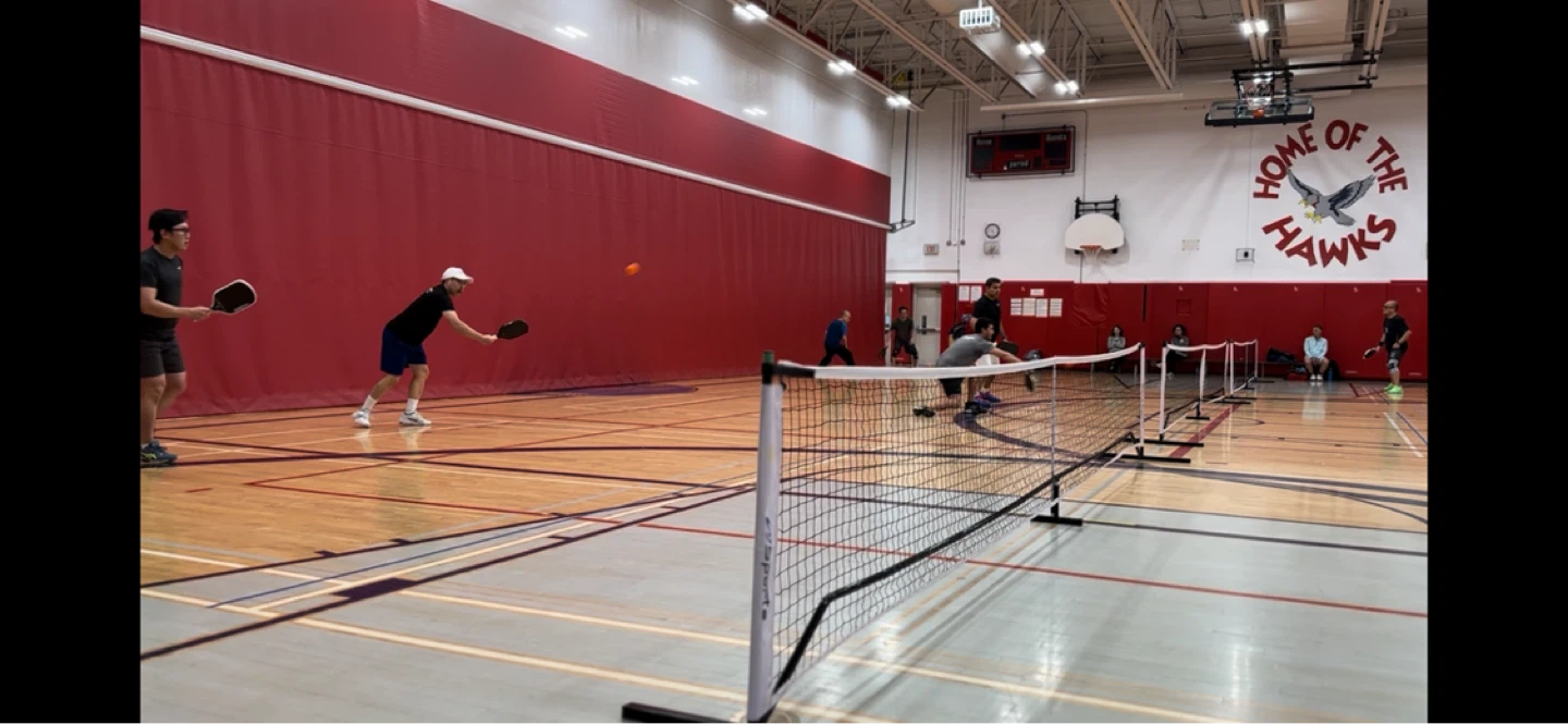 Pickleball nets: 3 available