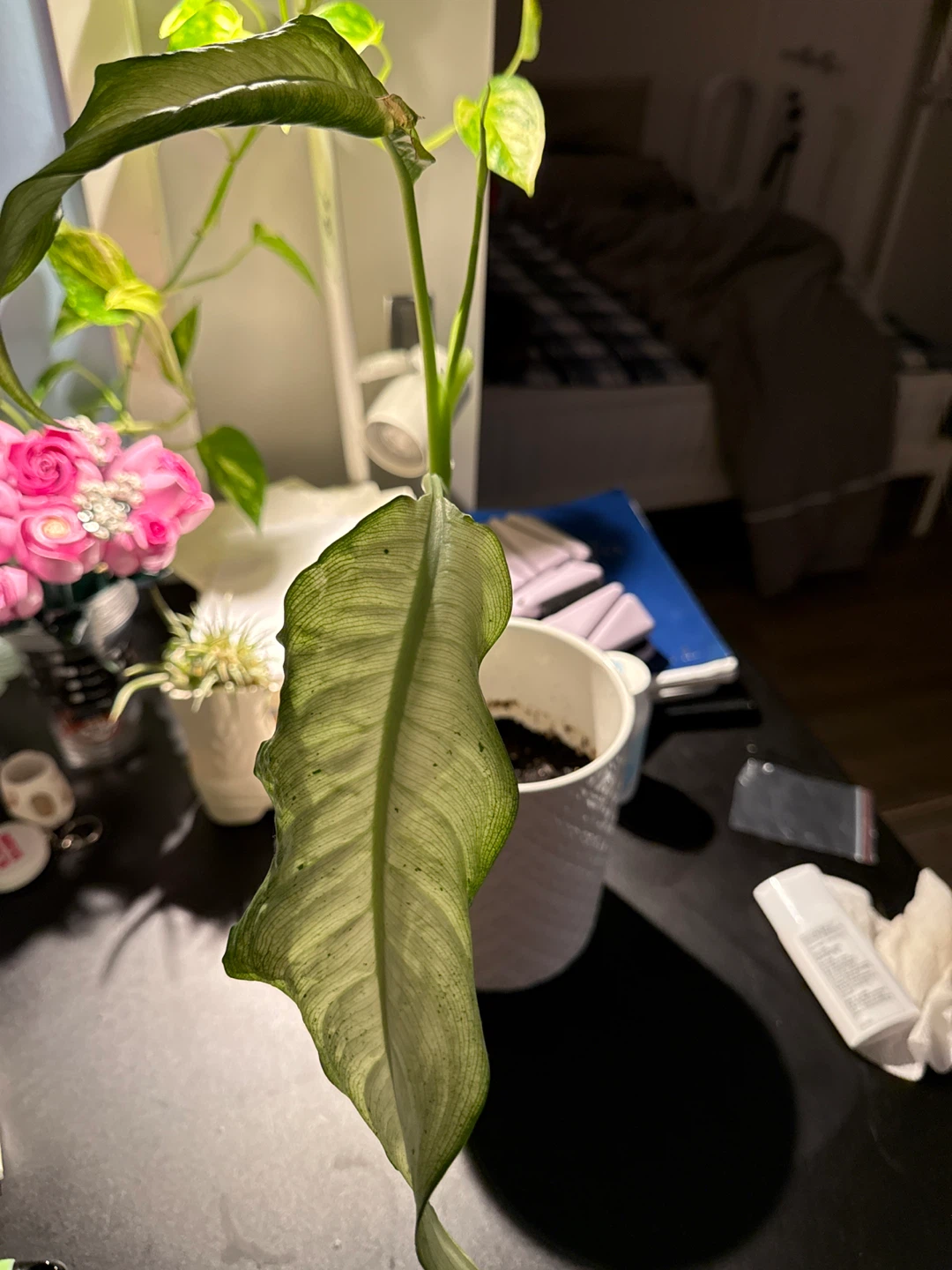 White Textured Plant Pot - photo 2