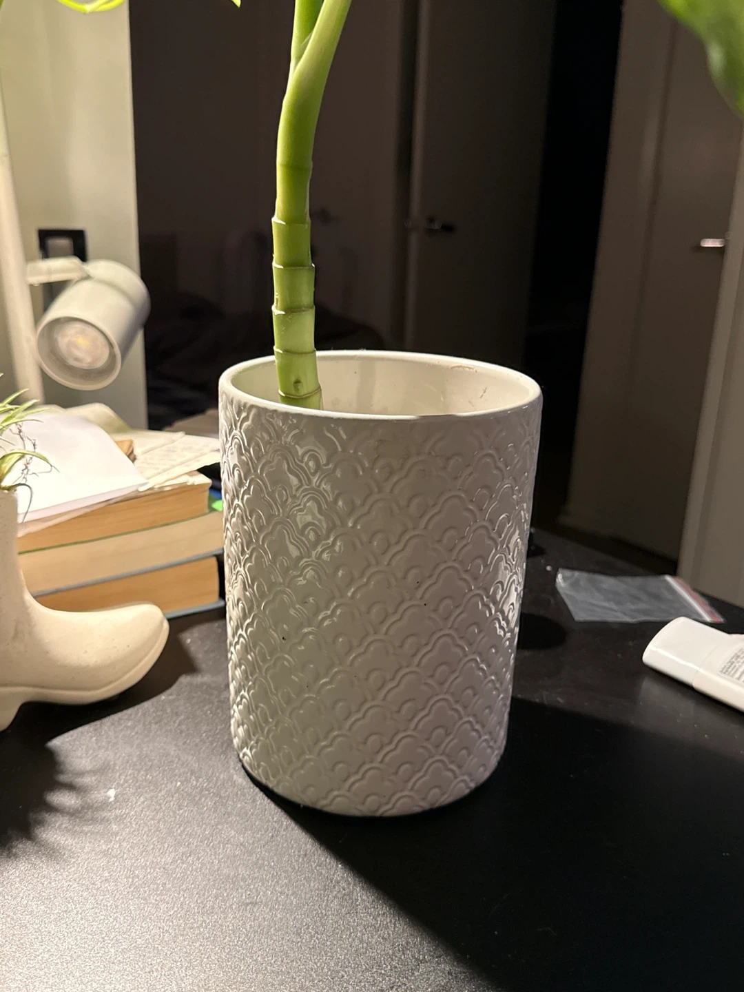 White Textured Plant Pot