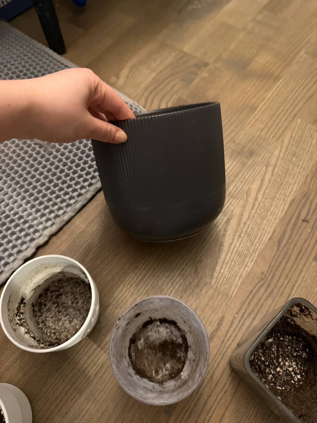 Assorted Plant Pots - photo 3