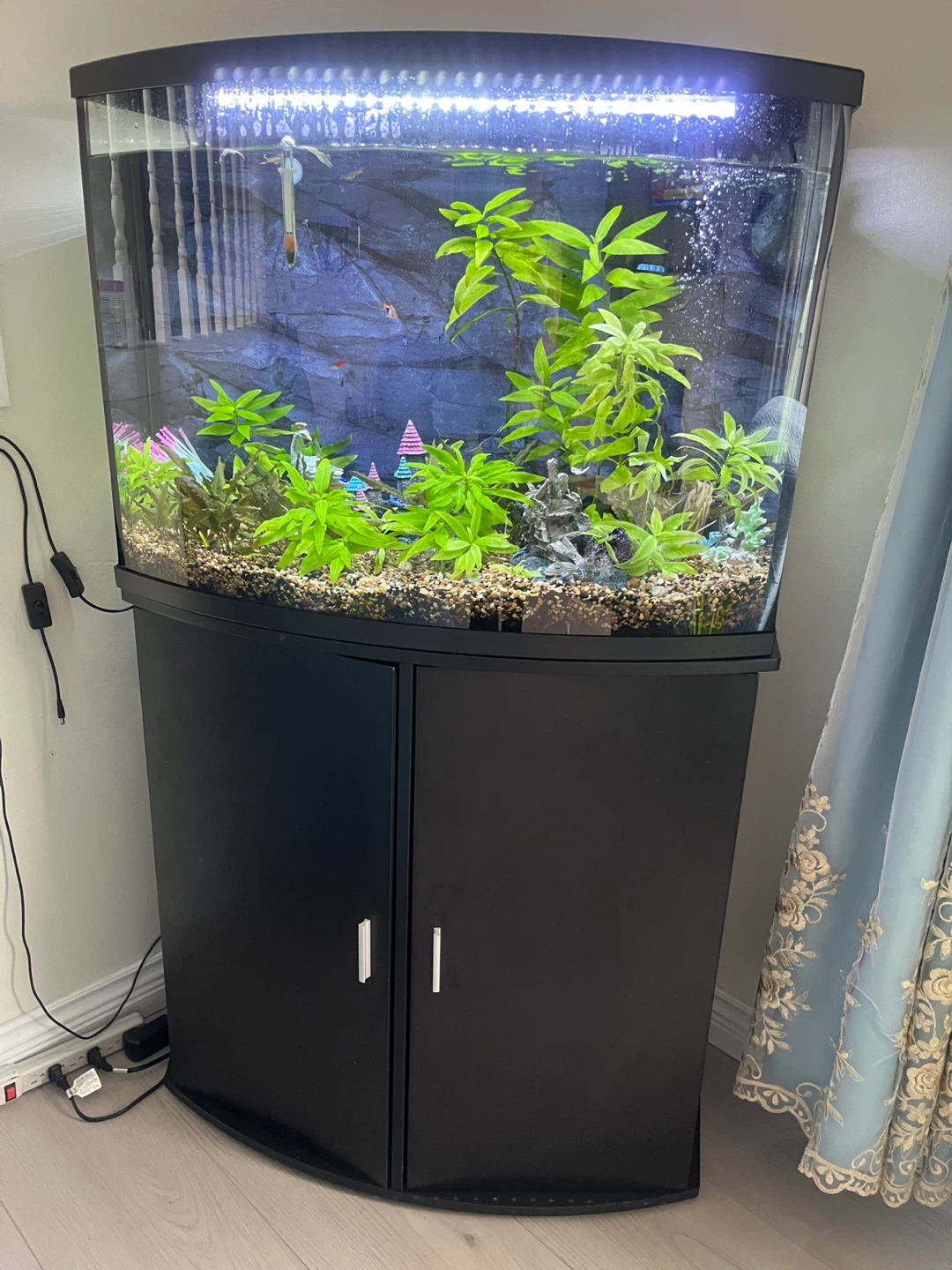 Black 36” gallon Aquarium with Stand - photo 3