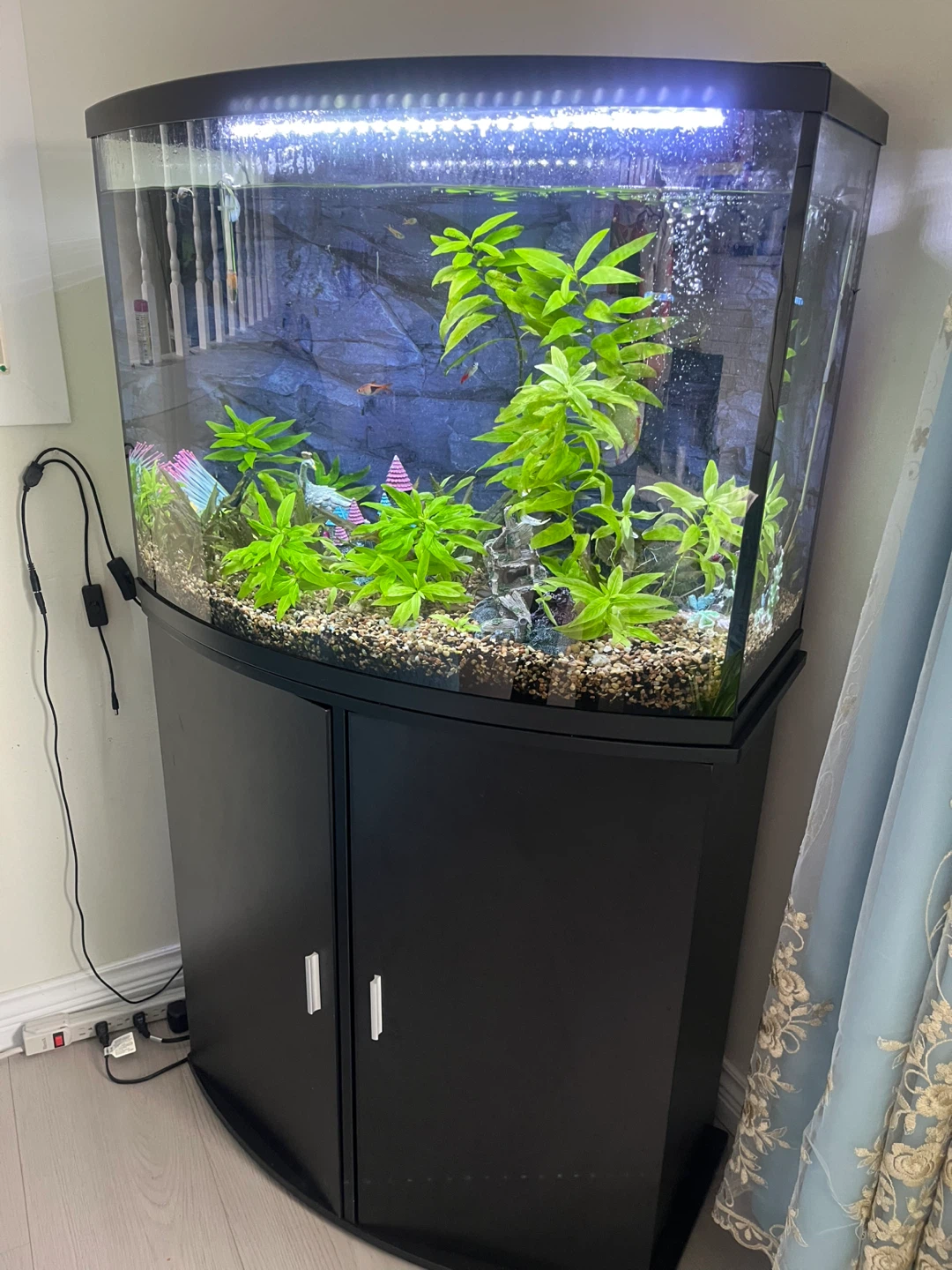 Black 36” gallon Aquarium with Stand - photo 2