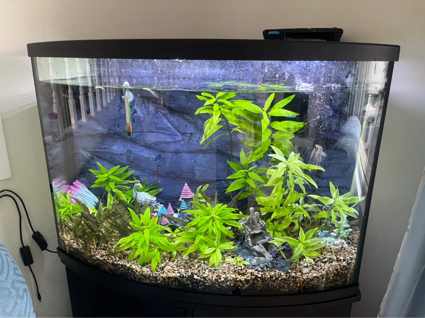 Black 36” gallon Aquarium with Stand - photo 4