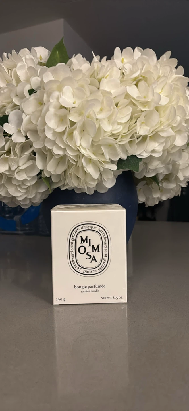 Diptyque Mimosa Scented Candle 190g