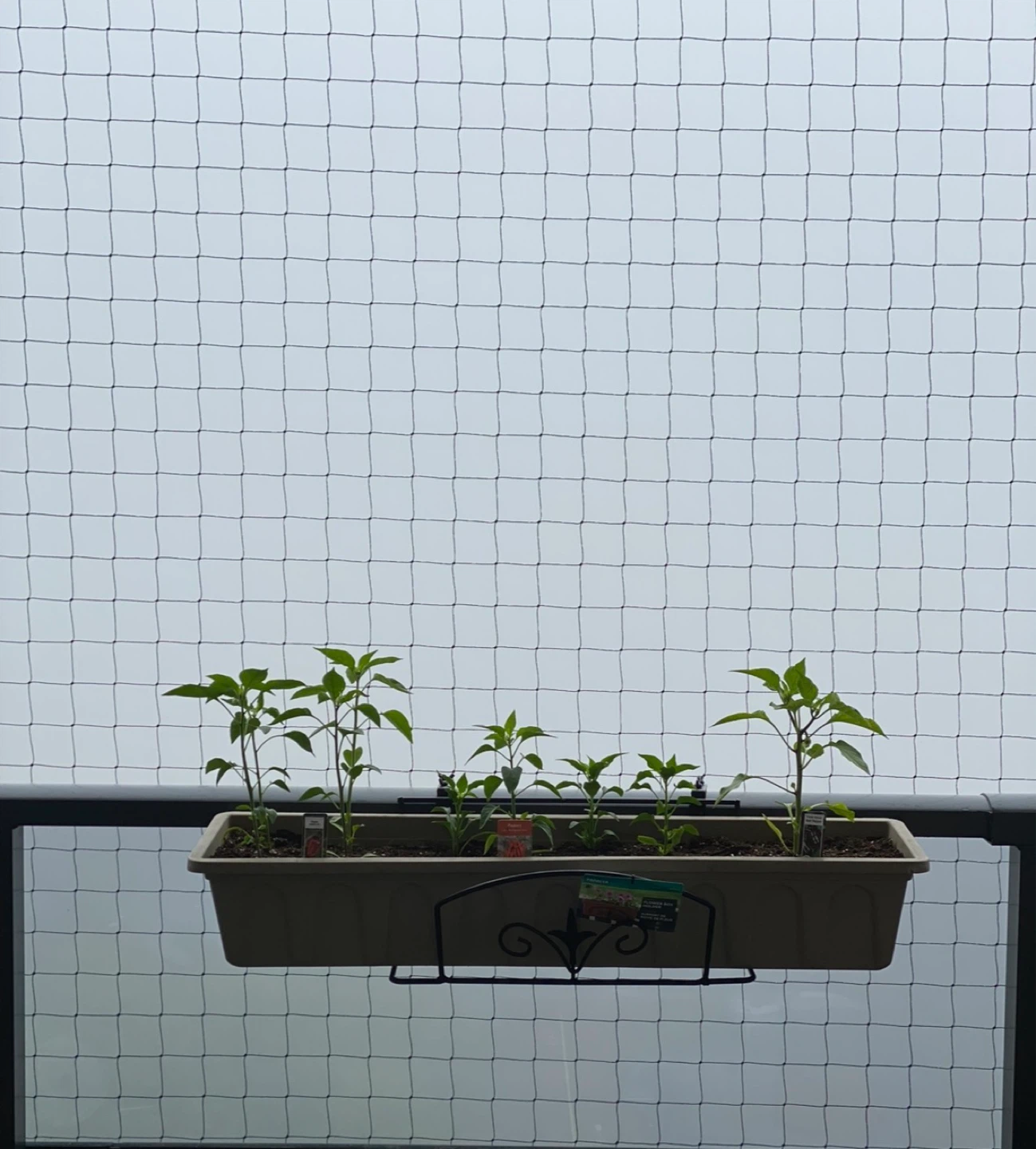Flower Box Holder and Planter
