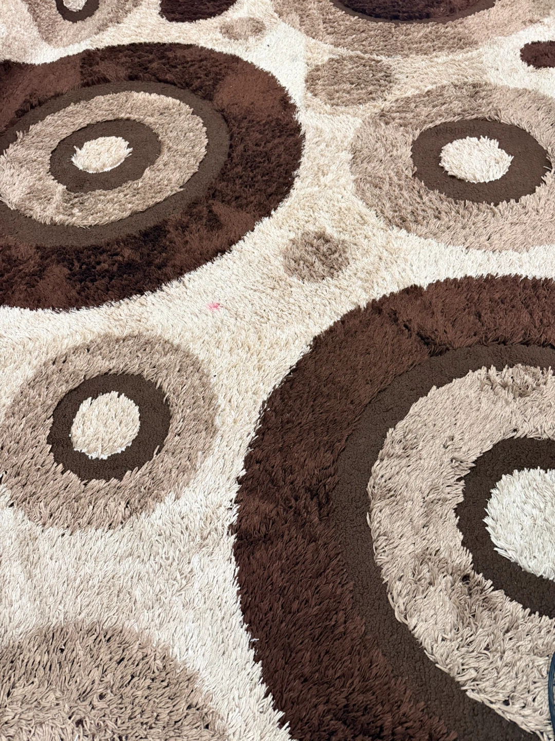 Shag Rug with Concentric Circle Pattern