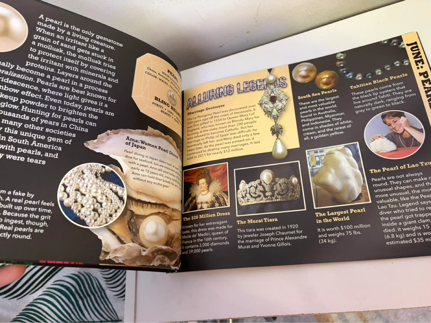 New book with stones - photo 3