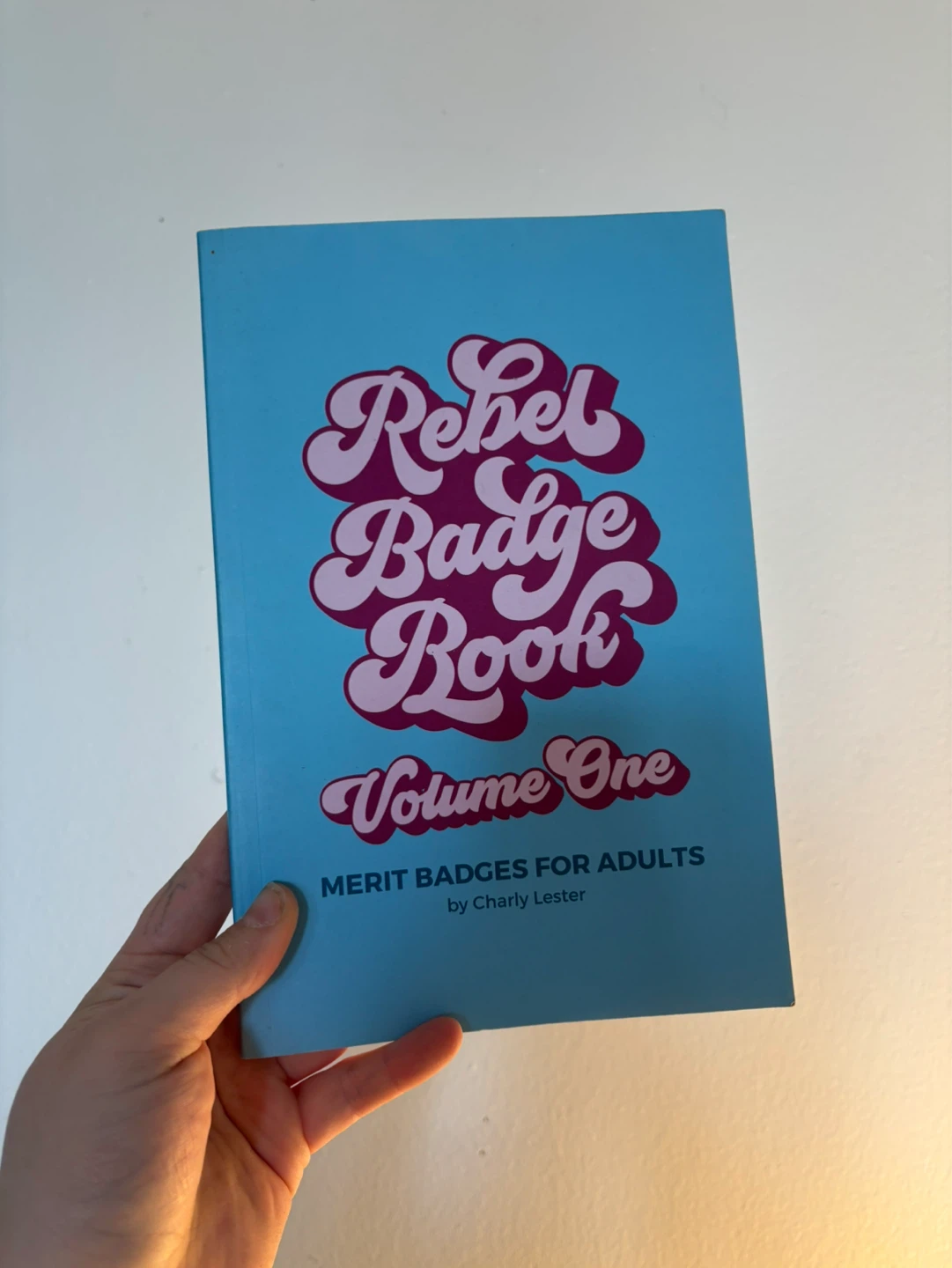 Rebel Badge Book Volume One: Merit Badges for Adults