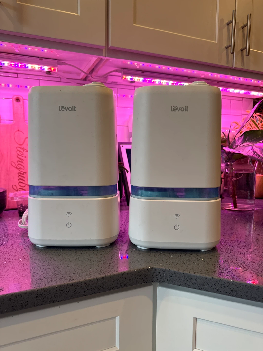 Levoit Humidifier x2