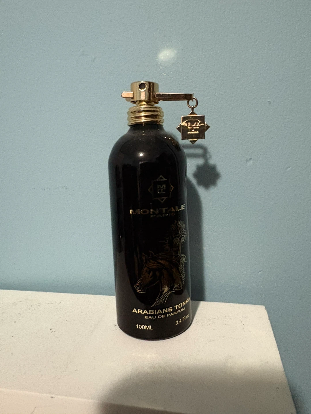 Montale Paris Arabians Tonka Eau de Parfum 100ml