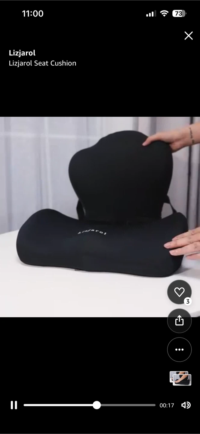 Lizjarol Seat Cushion for Back Support