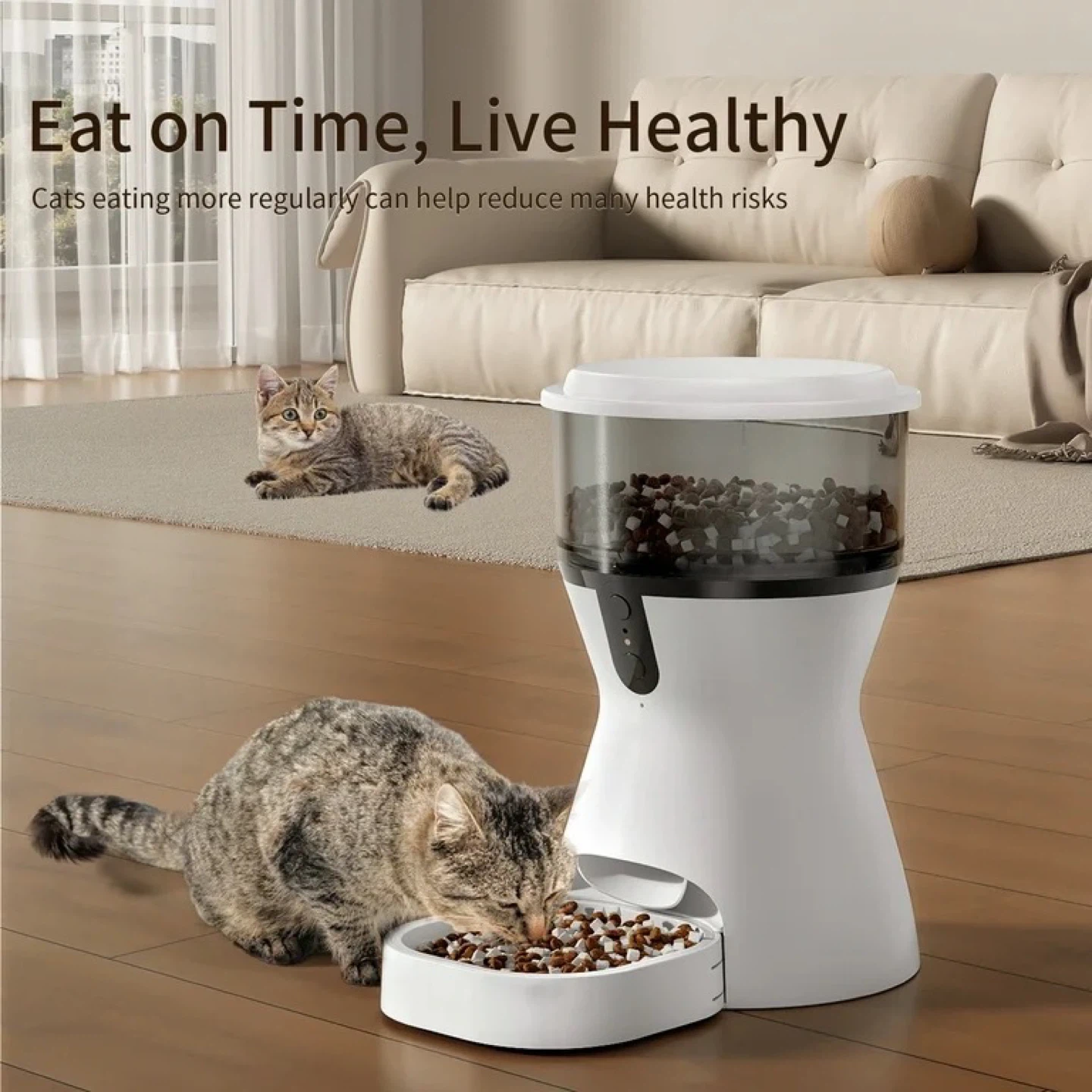 Automatic Pet Feeder