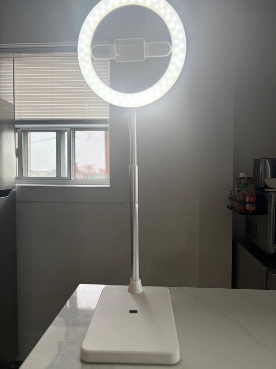 NEEWER RT-107 Ring Light with Phone Holder