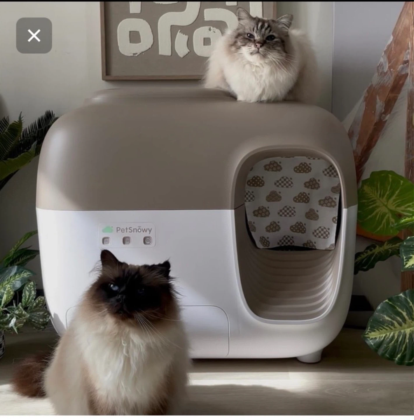 PetSnowy Automatic Cat Litter Box