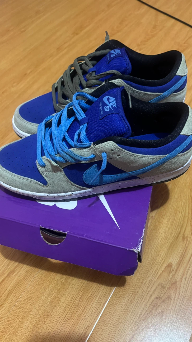 Nike SB Dunk Low Pro Celadon/Coast Sneakers