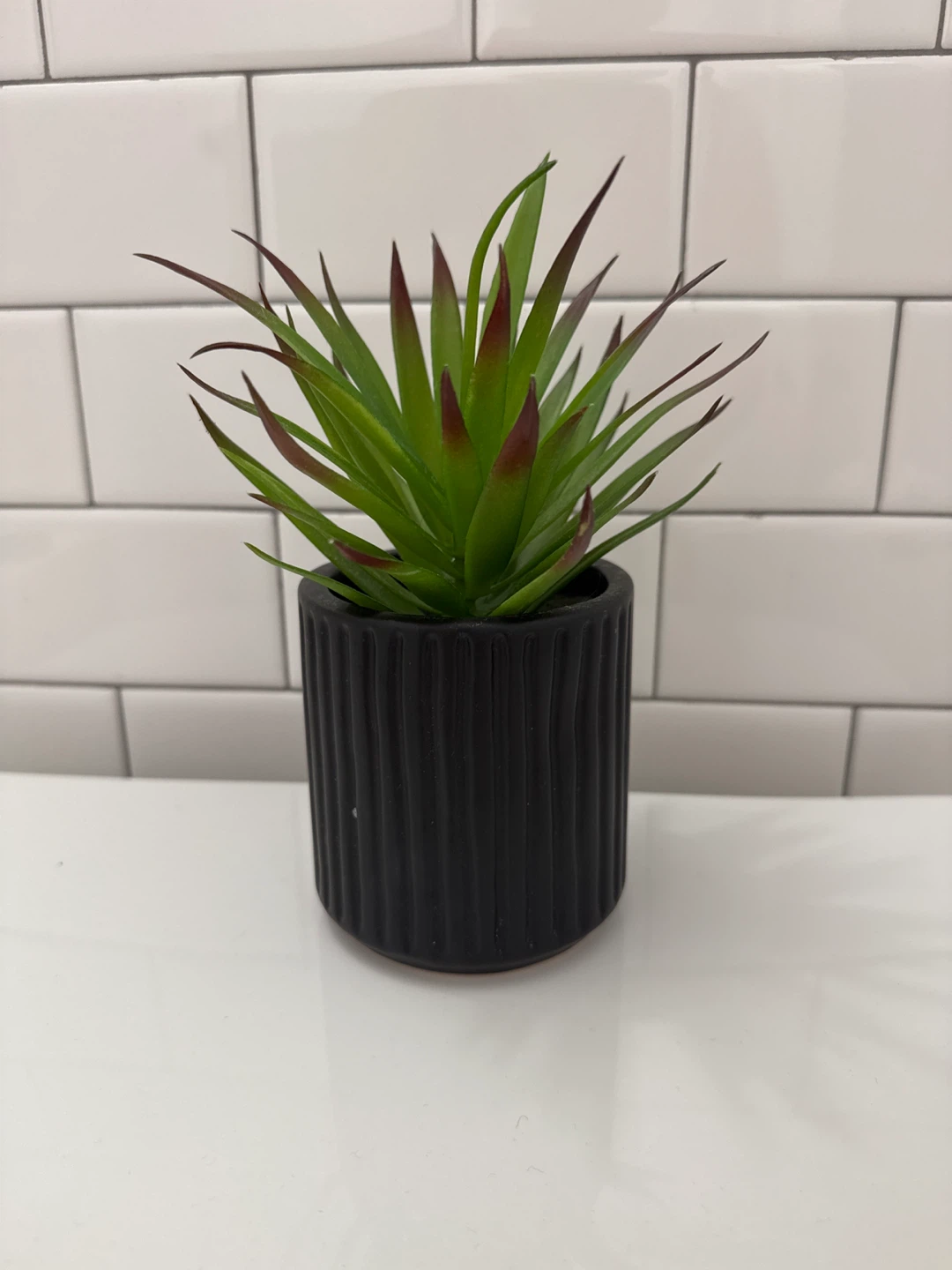 Artificial Succulent Plant in Black Pot 🌳