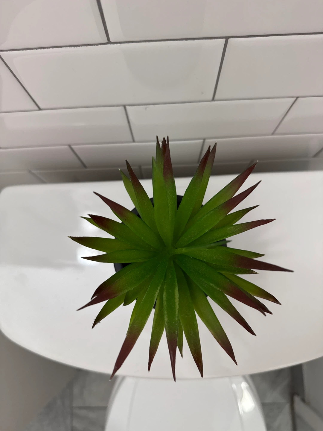 Artificial Succulent Plant in Black Pot 🌳 - photo 2