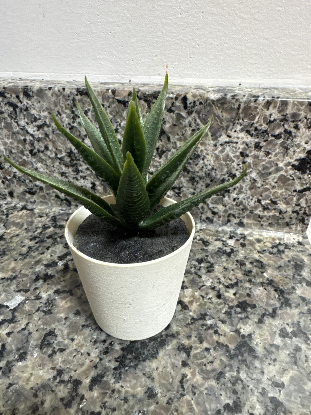 Artificial Succulent Plant in White Pot 🌳