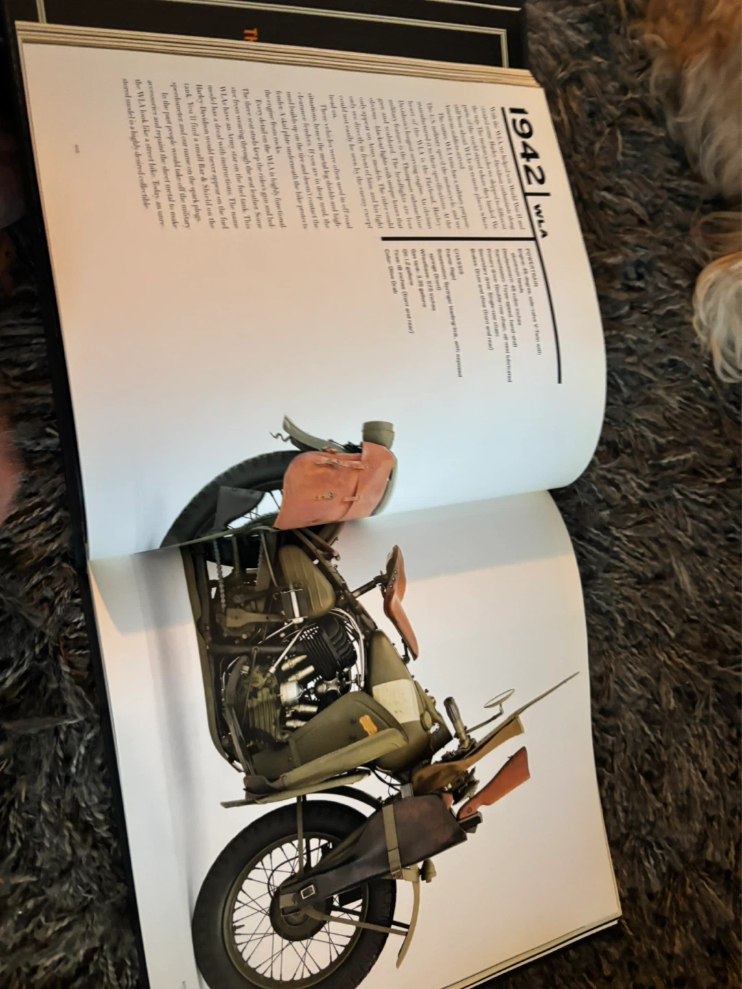 Harley-Davidson "100 Years" Book by Willie G. Davidson - photo 3