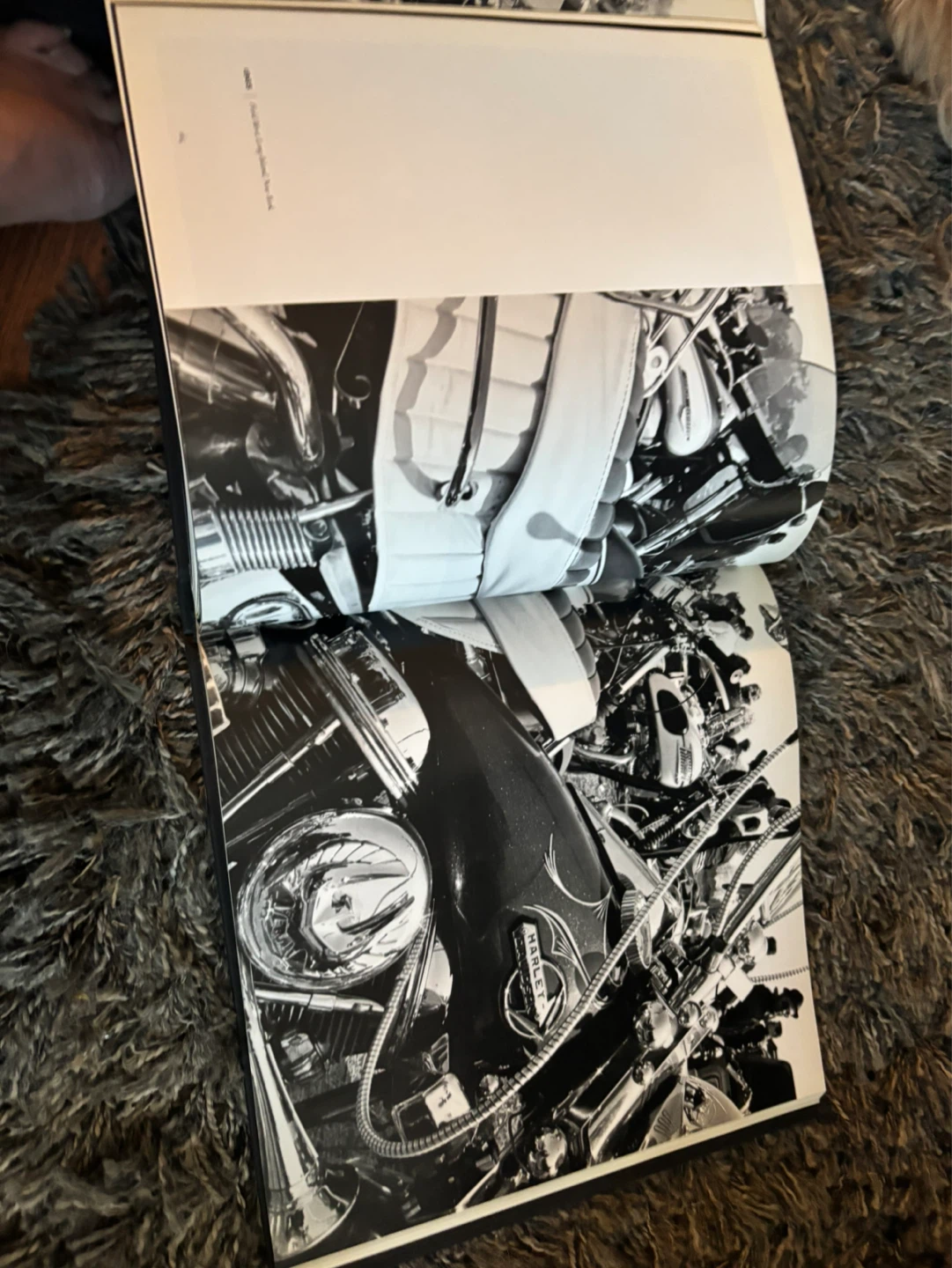 Harley-Davidson "100 Years" Book by Willie G. Davidson - photo 4