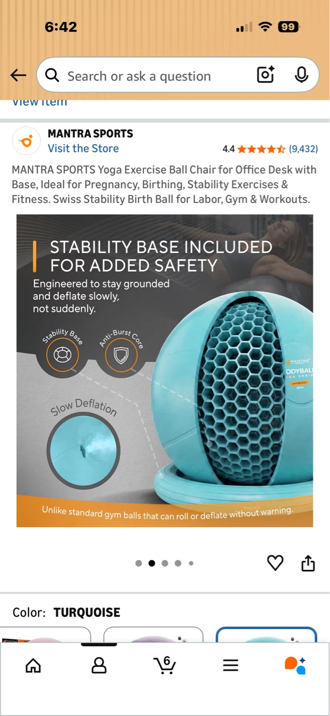 Bundle: Pilates Ring, Exercise ball plus Stability base - photo 4