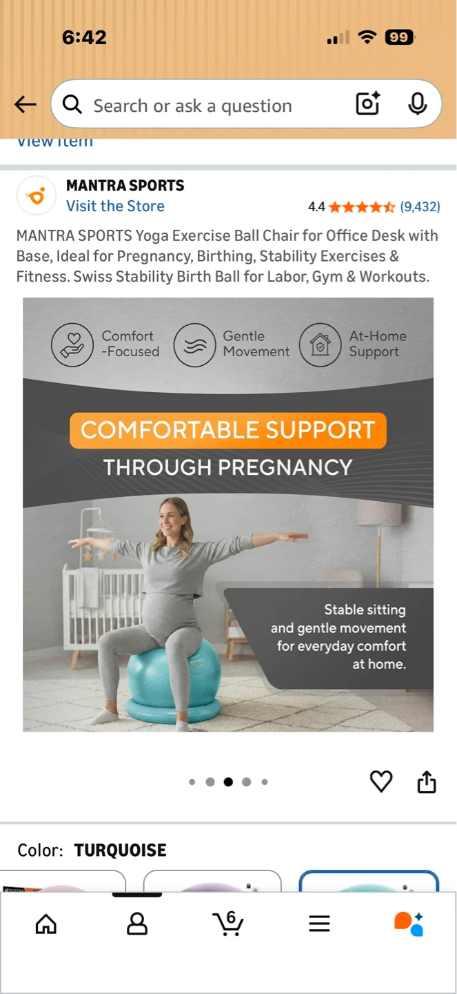 Bundle: Pilates Ring, Exercise ball plus Stability base - photo 5