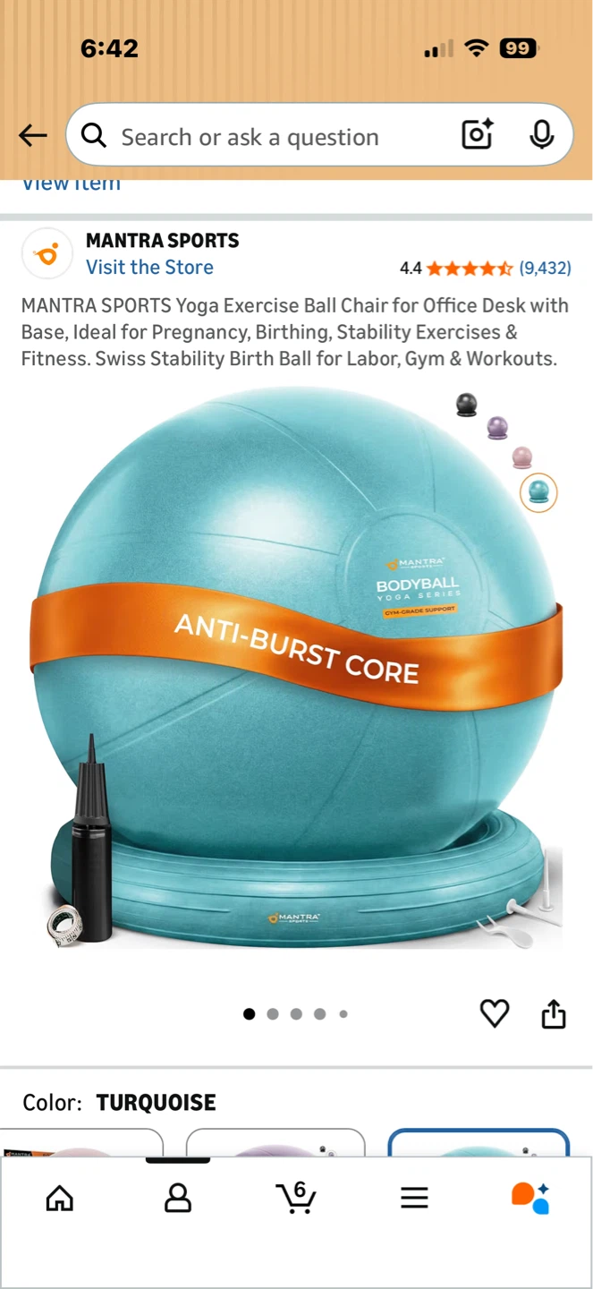 Bundle: Pilates Ring, Exercise ball plus Stability base - photo 2