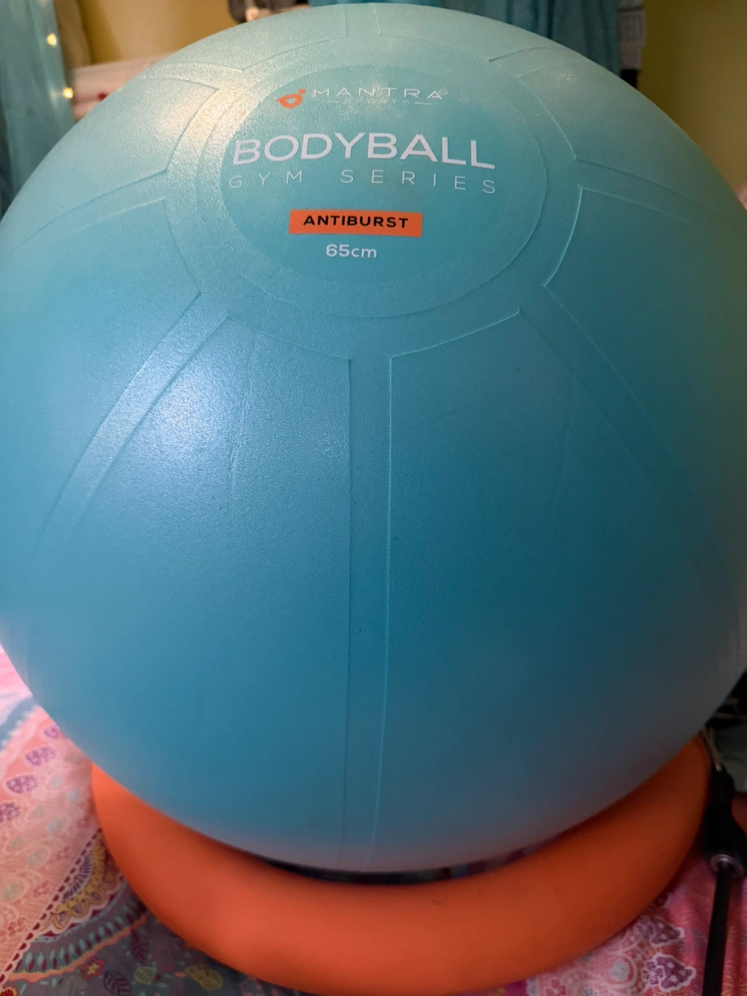 Bundle: Pilates Ring, Exercise ball plus Stability base