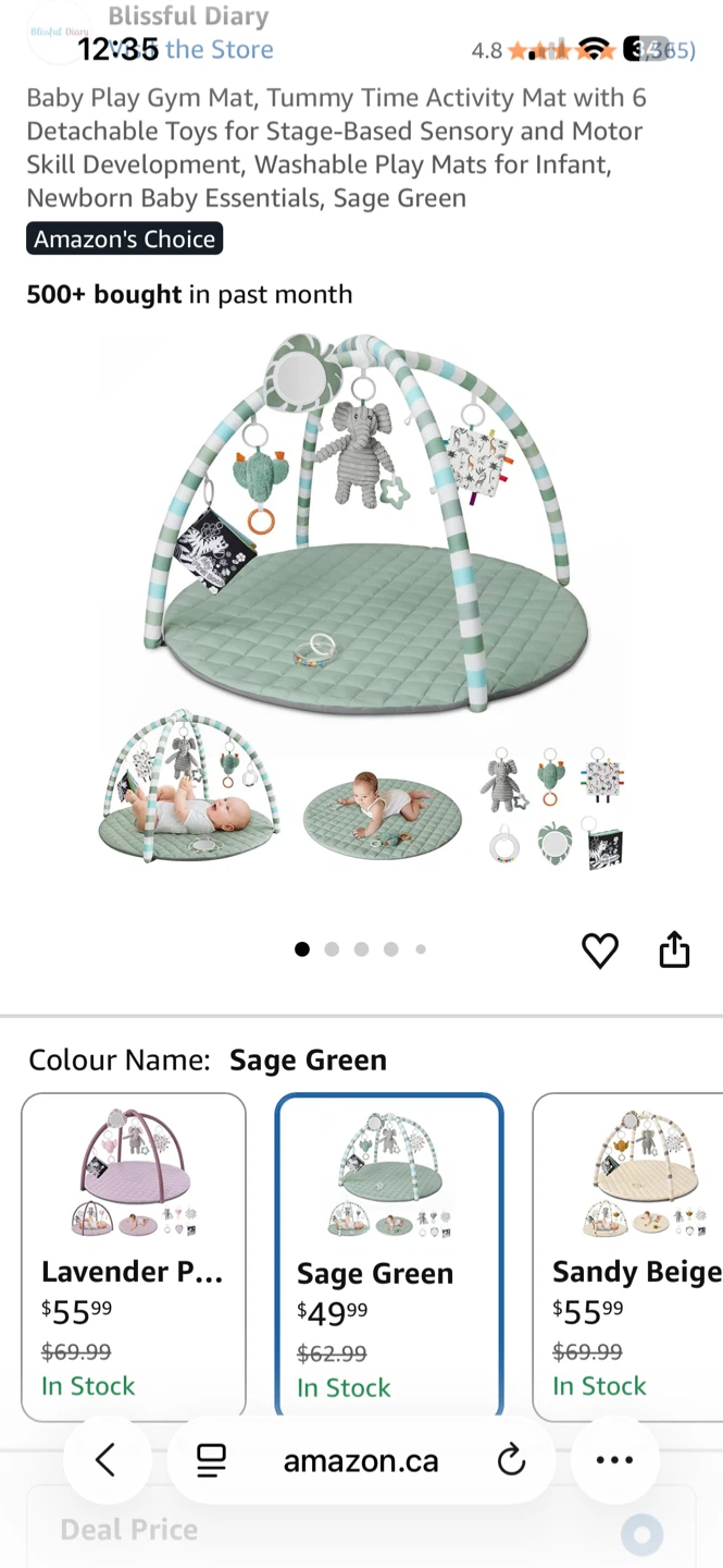 Baby Play Gym Mat with Detachable Toys - Sage Green - photo 3