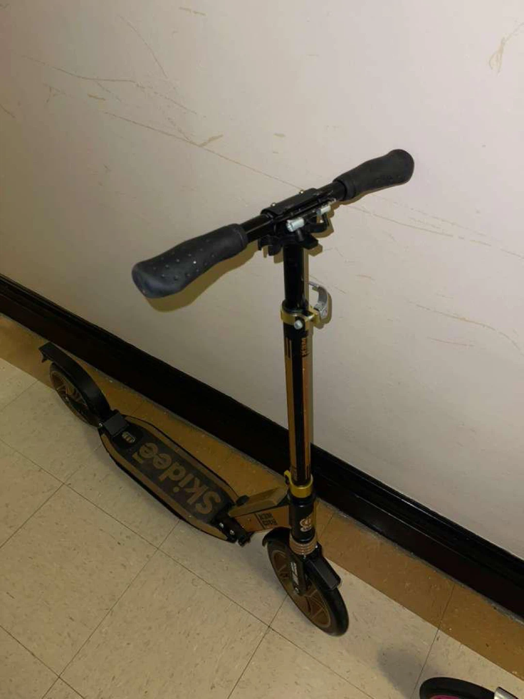 Adult Scooter