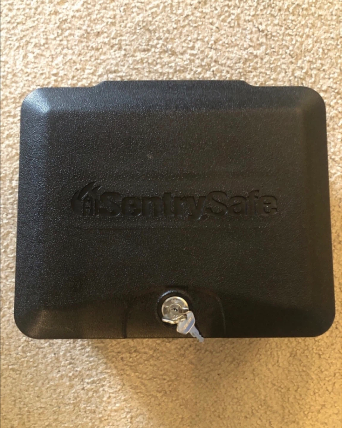 SentrySafe Fireproof Lock Box