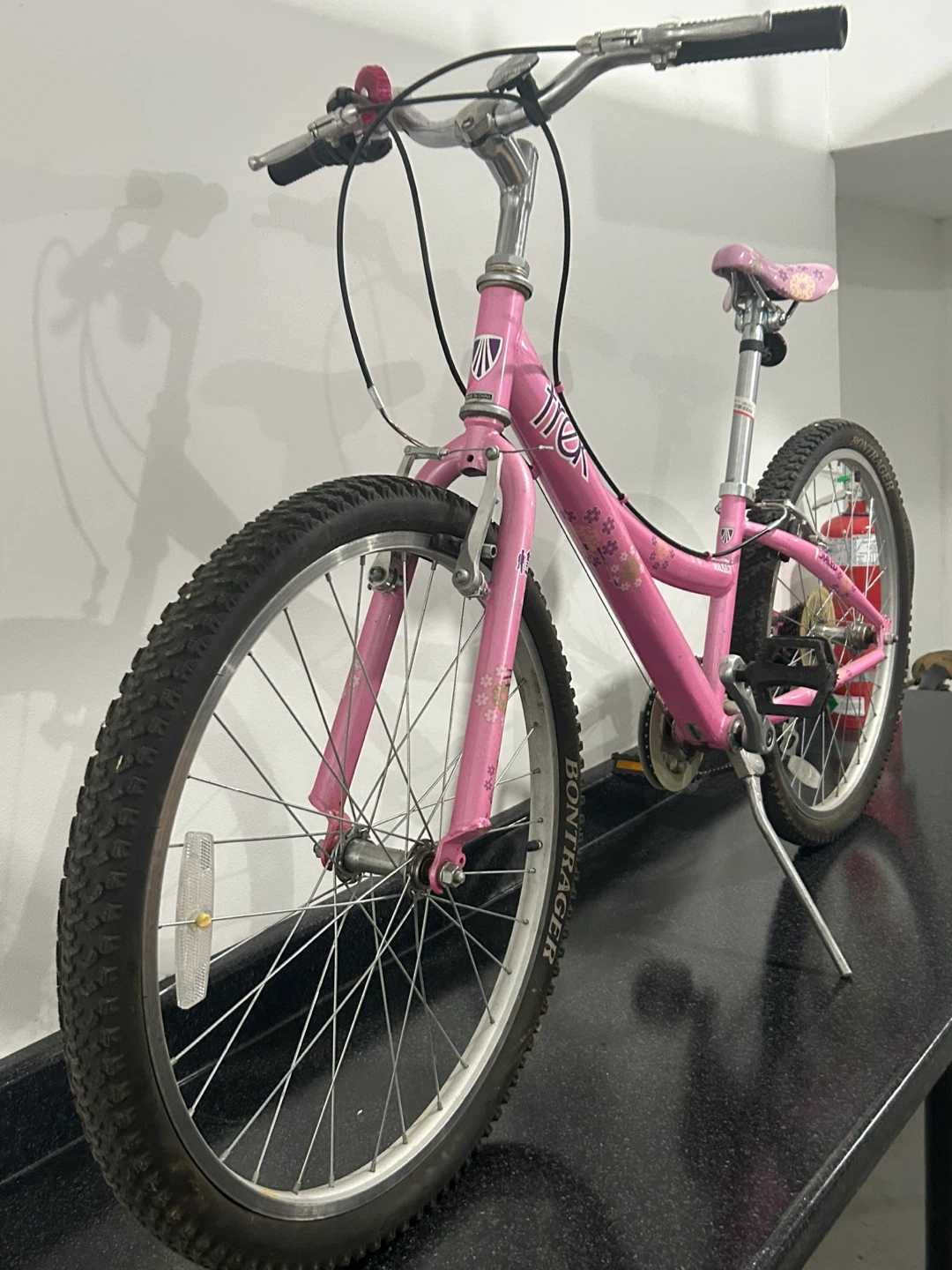 Trek Pink Kids Bicycle