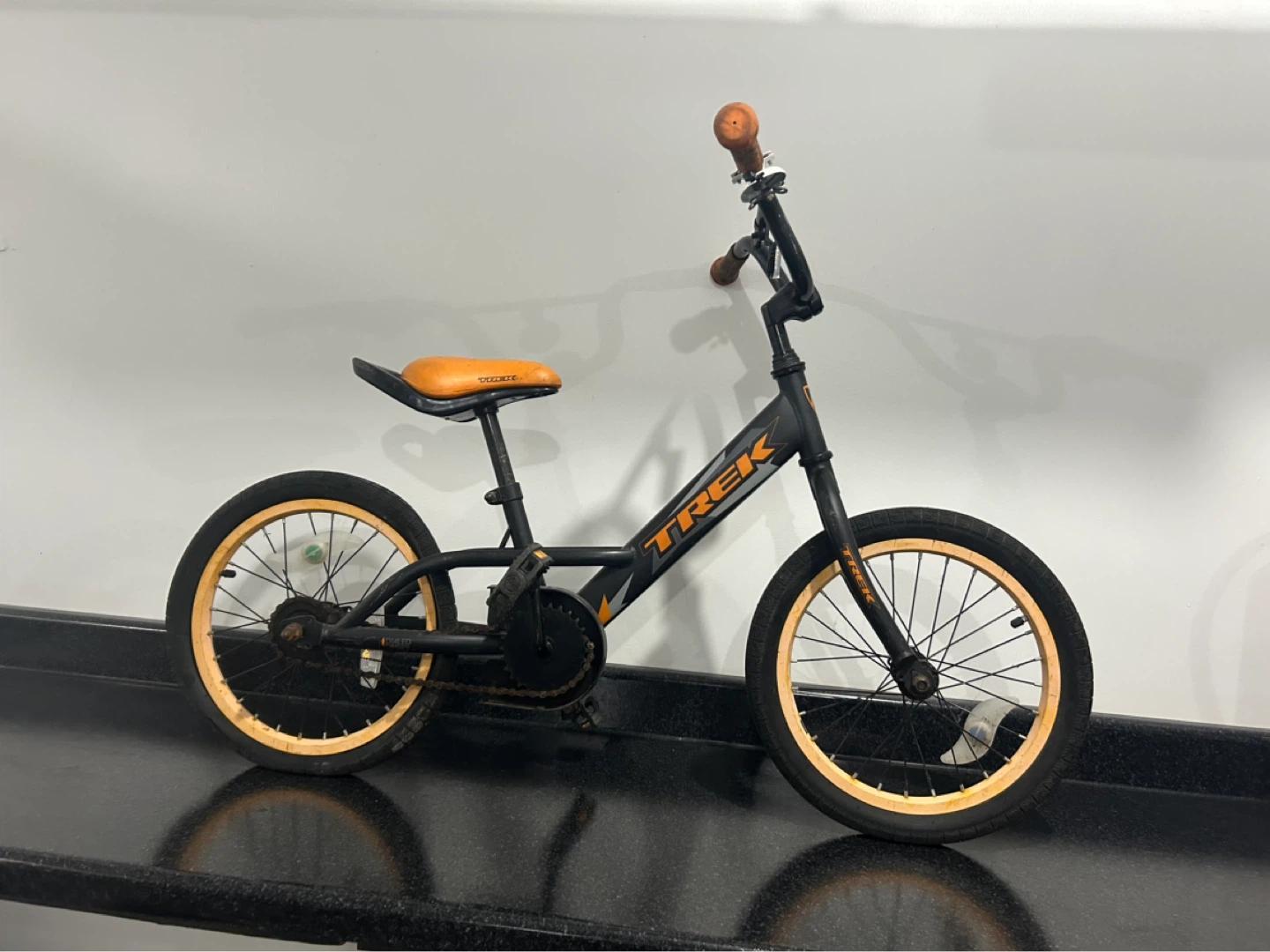 Trek Kids Bike