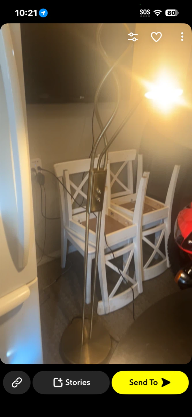 Floor Lamp with Dual Gooseneck Arms