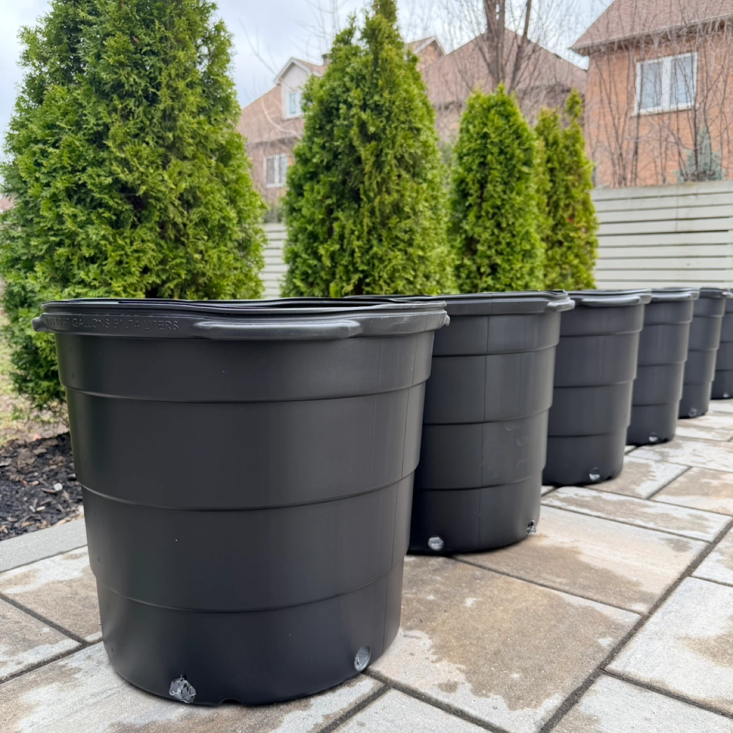 Plant pots