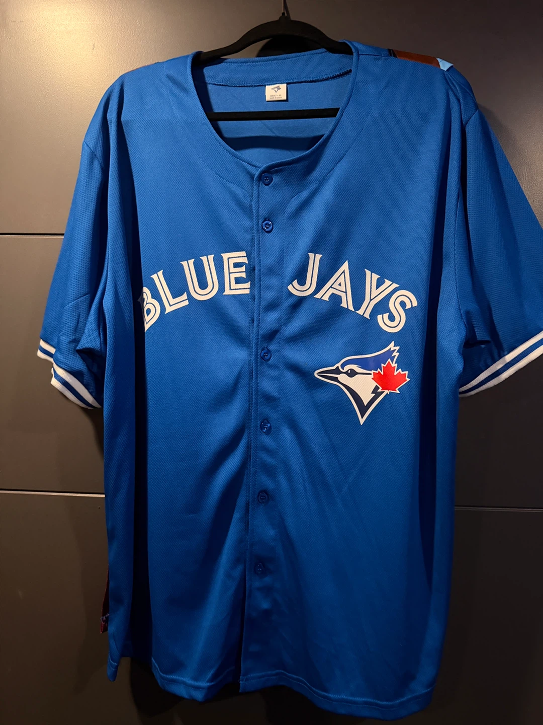 Toronto Blue Jays Pride Jersey Adult XL