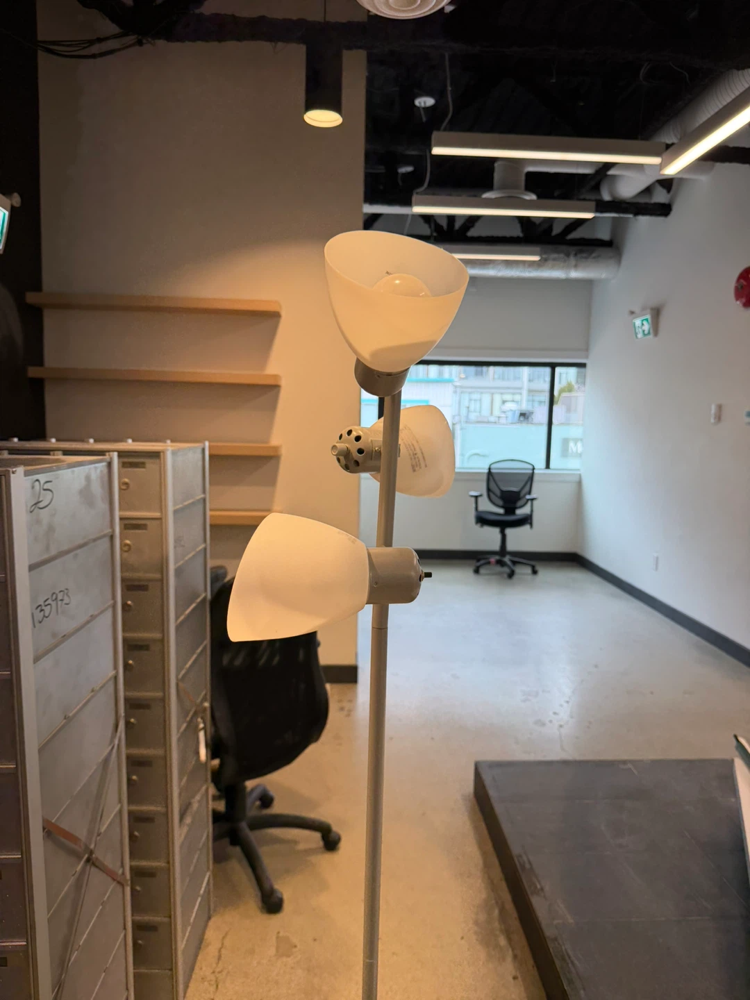 Adjustable Floor Lamp with 3 Lights