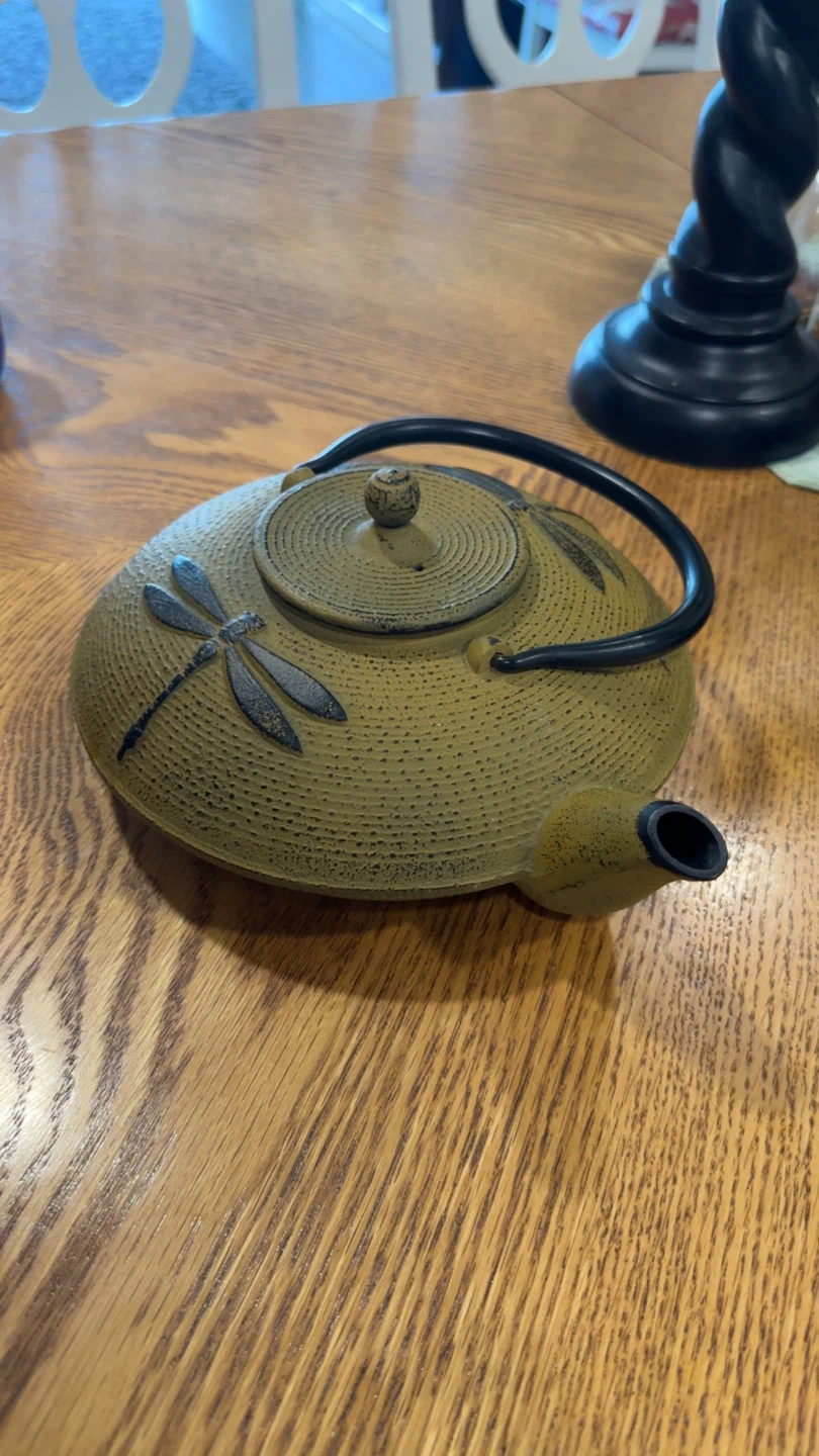 Cast Iron Dragonfly Tea Pot