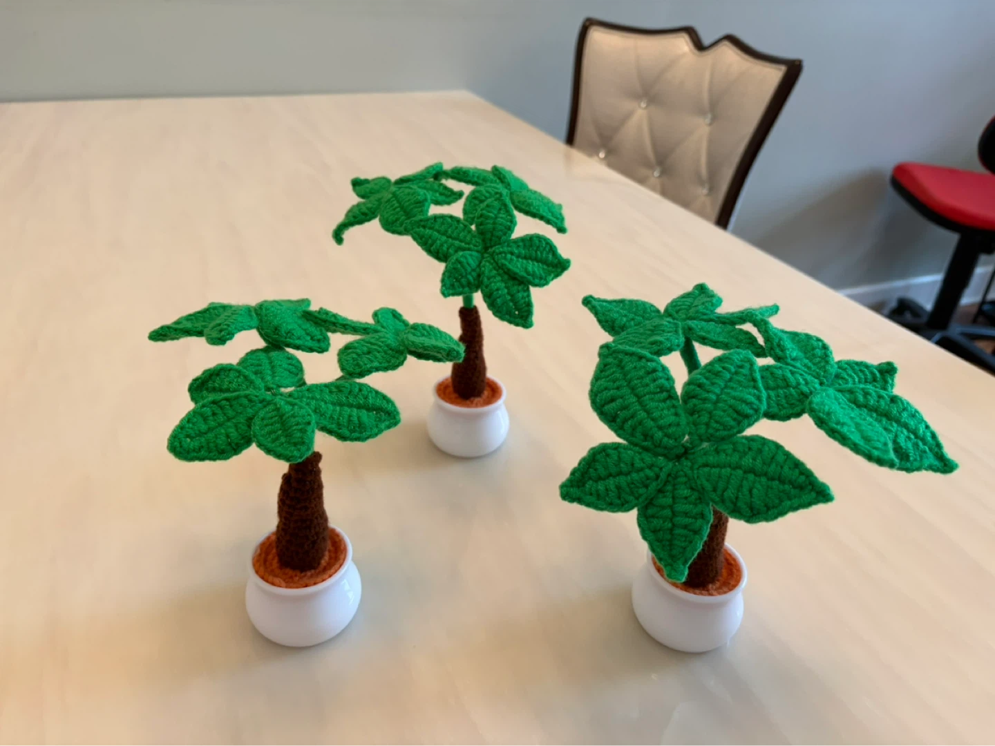 Money trees/ fortune trees