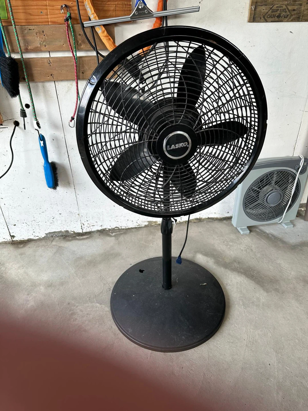 Lasko Black Pedestal Fan
