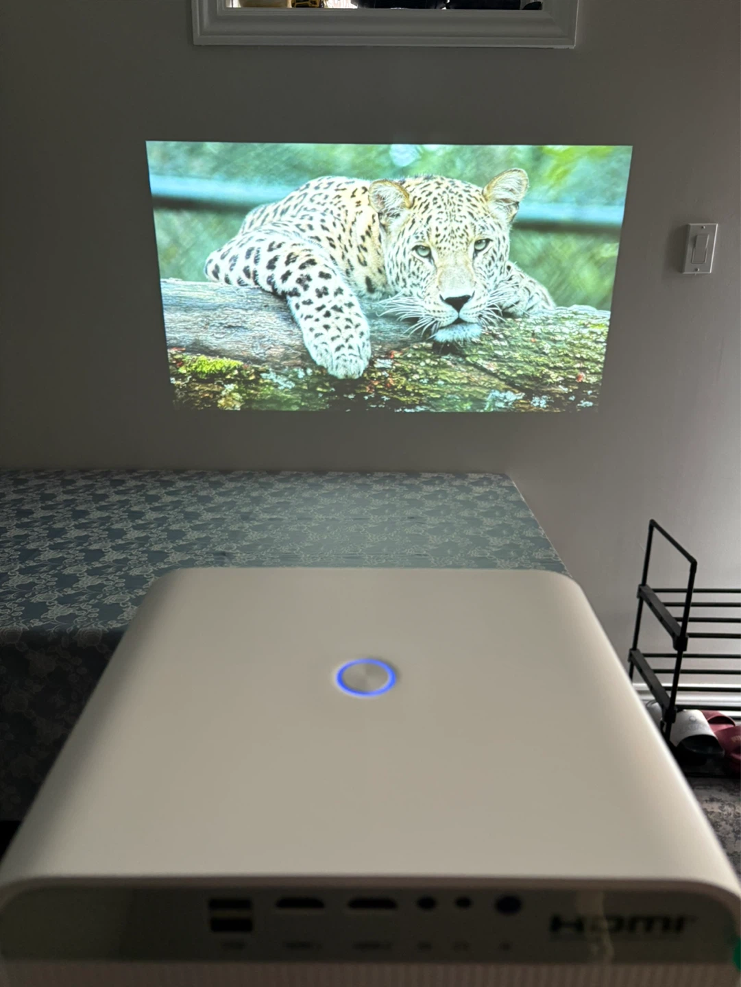 Vision EYE-XO2 Projector with Galaxy 72” projector screen - photo 4