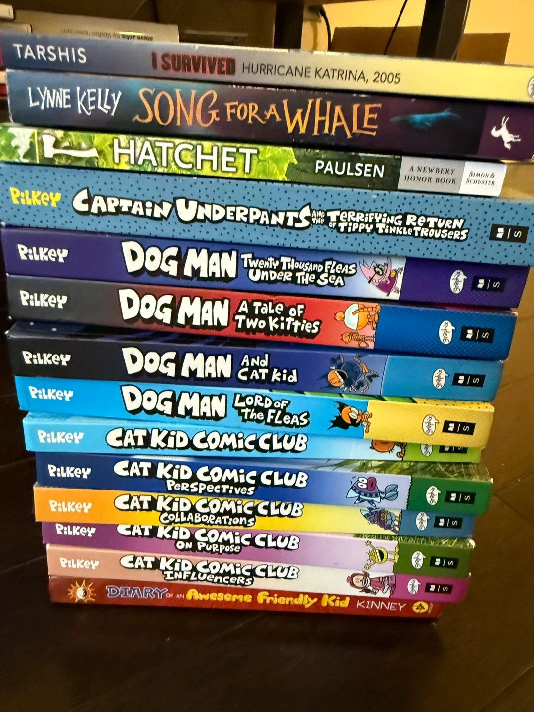 Collection of Dav Pilkey Books