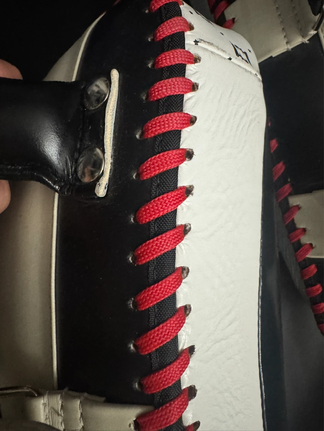 Fairtex Muay Thai Pads Kickboxing Training Gear - photo 3