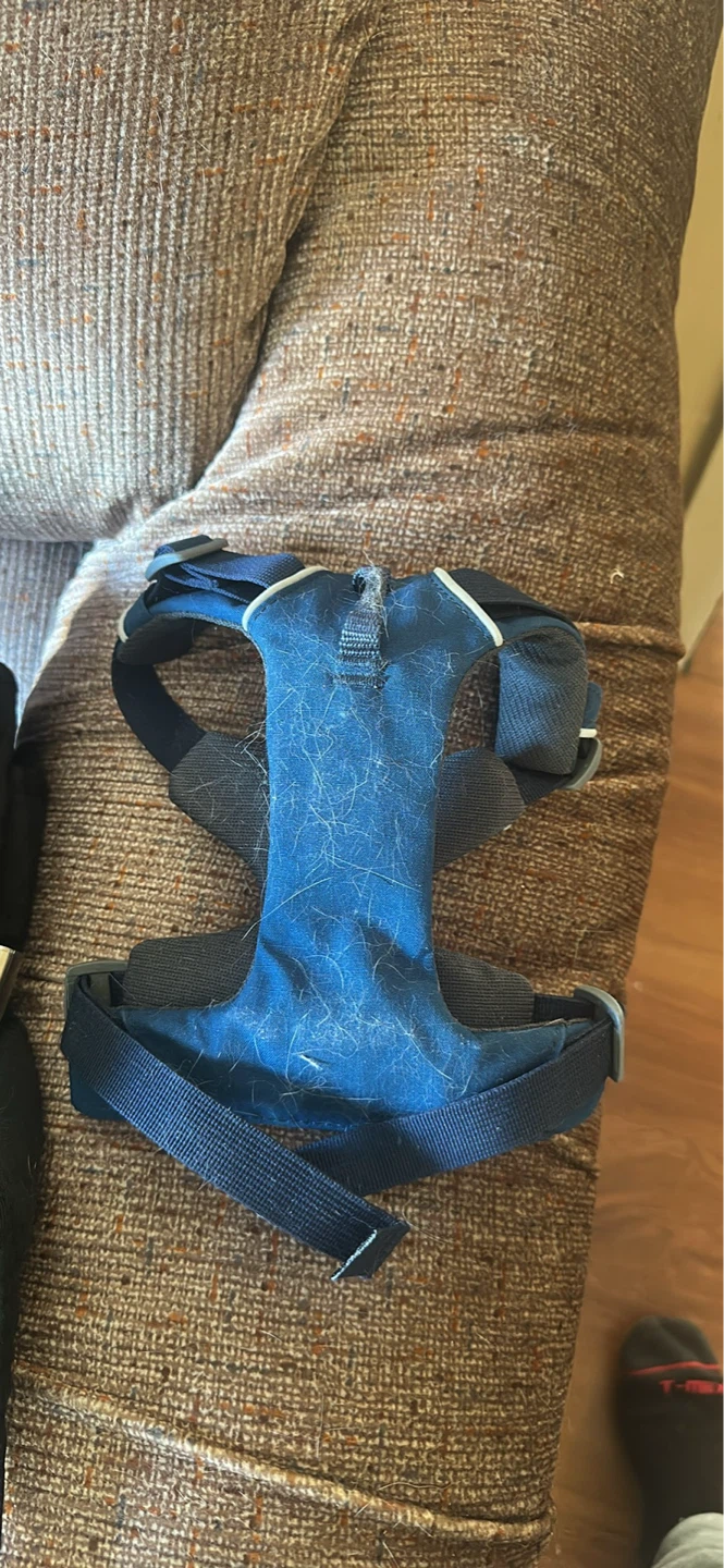 Ruffwear Front Range Dog Harness XS Blue