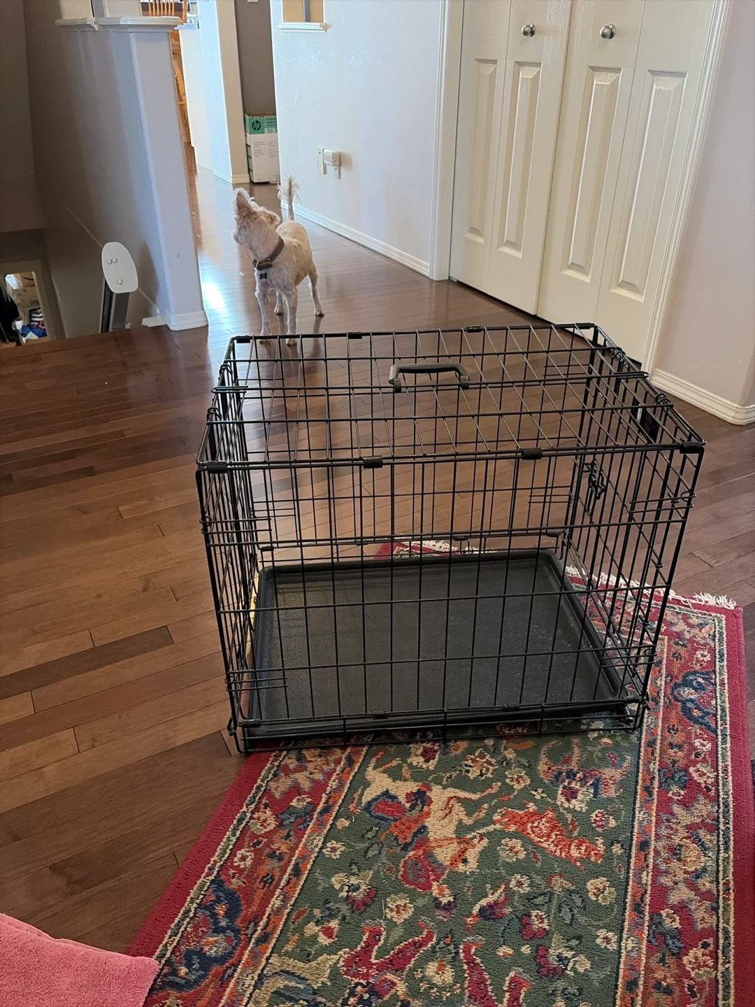 iCrate Dog Crate - photo 2