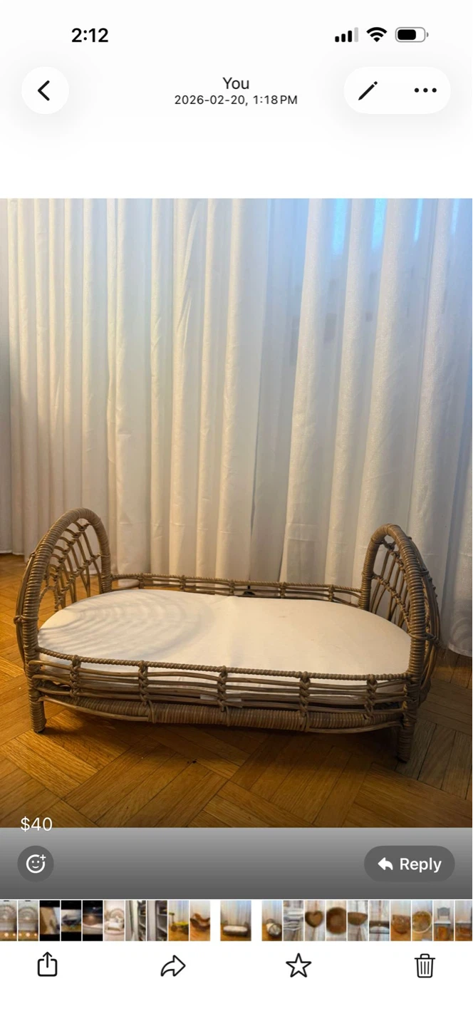 Wicker Pet Bed with Cushion